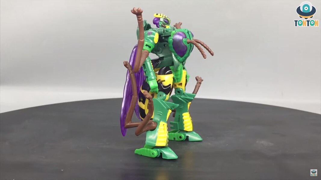 Transformers Kingdom Deluxe Class Waspinator  (10 of 38)